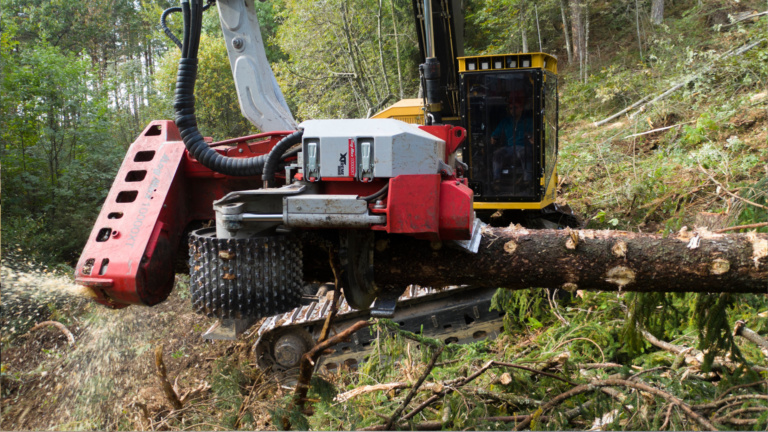 macchinari per il taglio boschi