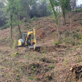 escavatore in opera nel bosco