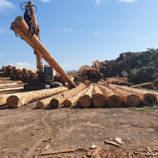 gru per il carico di tronchi legno