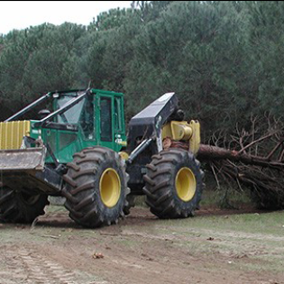 macchinario per esbosco lavori forestali