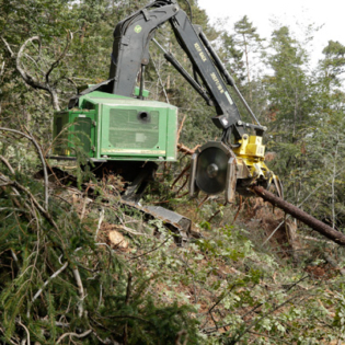 macchinario per taglio azienda forestale